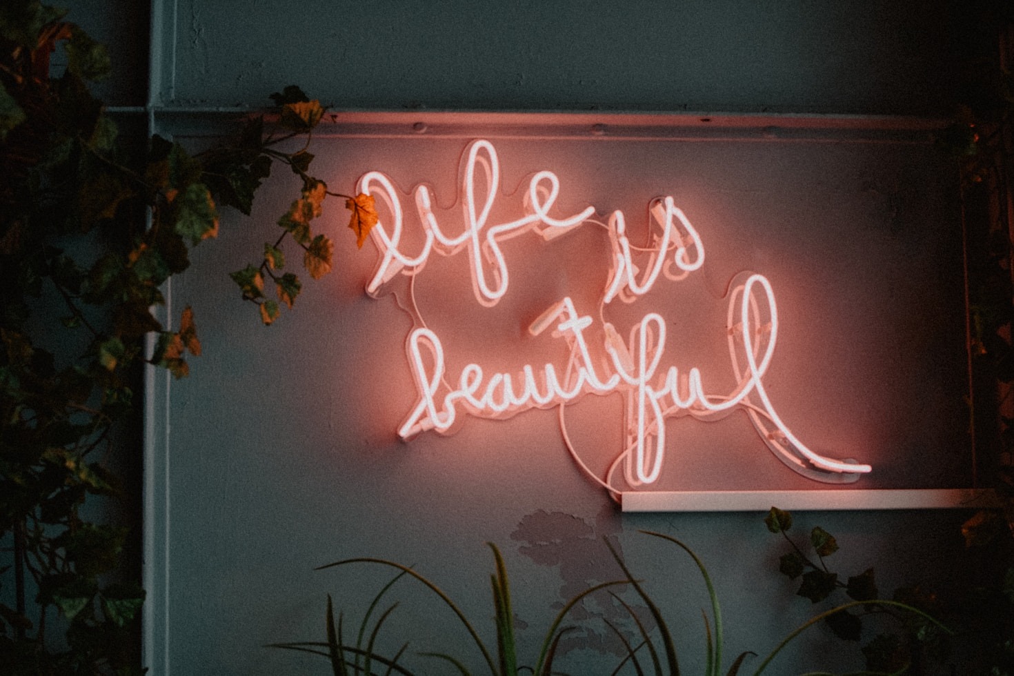 How Positive Thinking Can Transform Your Life